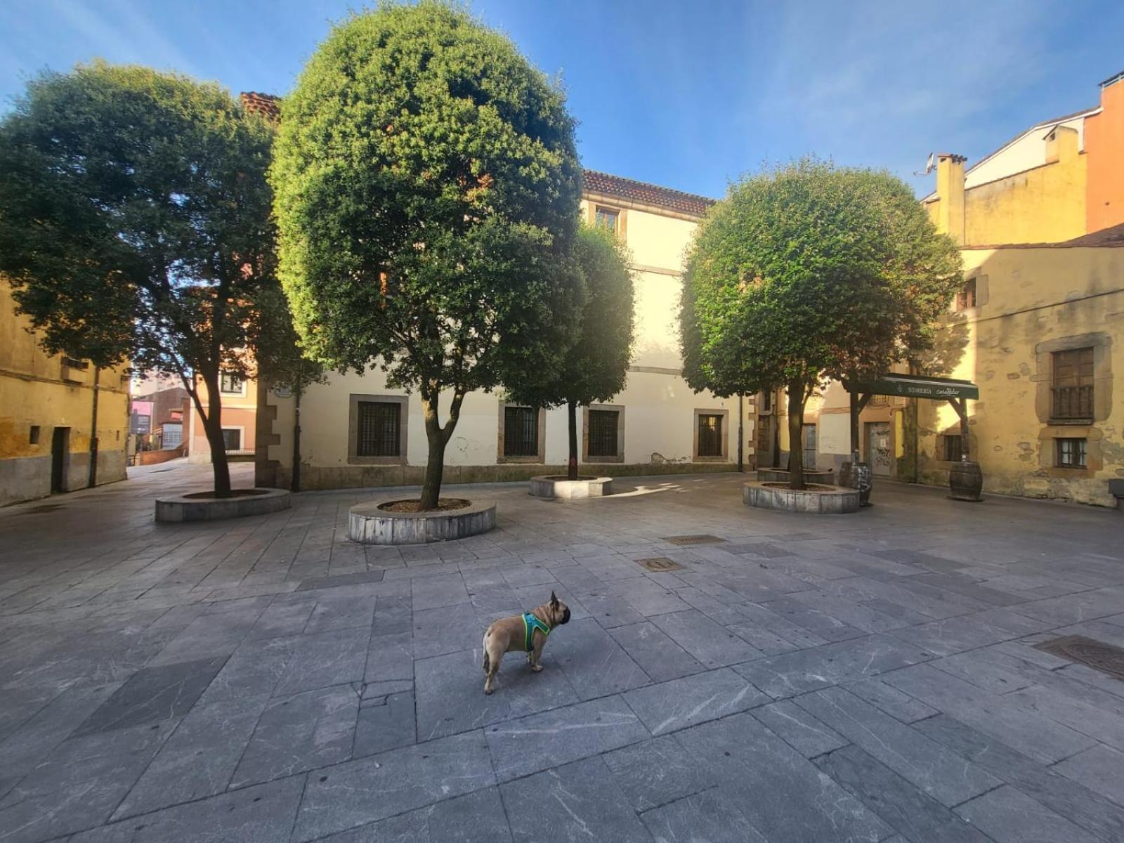 Apartament The Blue Nest Gijón Zewnętrze zdjęcie